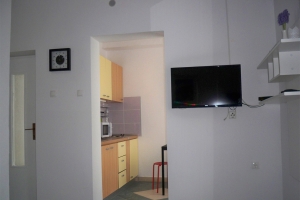 ap5_01.jpg